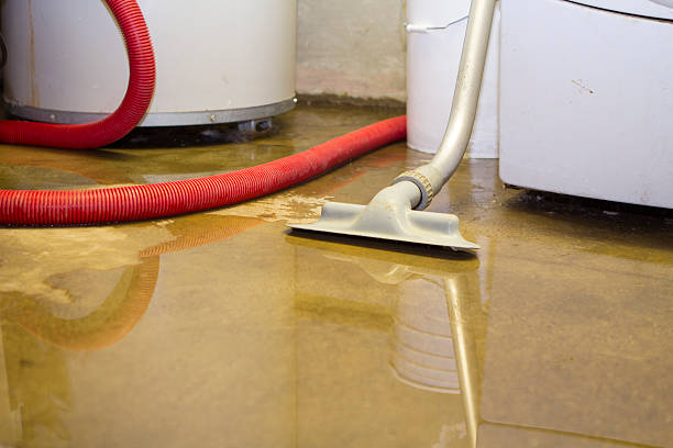 Best Emergency water damage restoration  in Schoolcraft, MI