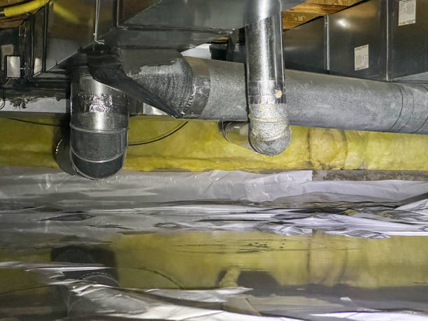 Best Professional water damage repair  in Schoolcraft, MI