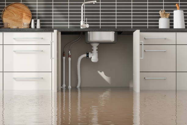 Best Commercial water damage restoration  in Schoolcraft, MI