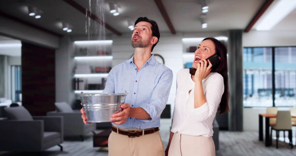 Best Water damage mitigation services  in Schoolcraft, MI