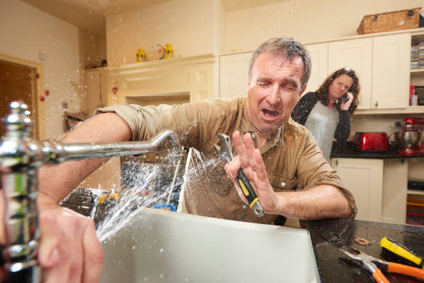 Best Carpet water damage restoration  in Schoolcraft, MI